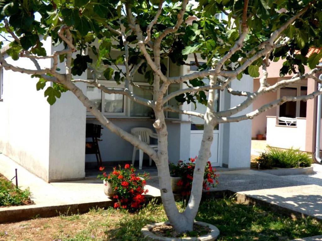 Branko Apartman